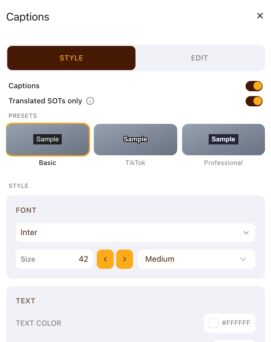 The Captions panel on its Style tab with Captions and Translated SOTs only switched on, the Basic, TikTok and Professional presets, and the font and text settings.